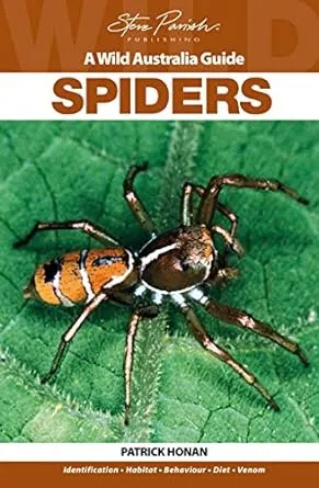 A Wild Australia Guide: Spiders