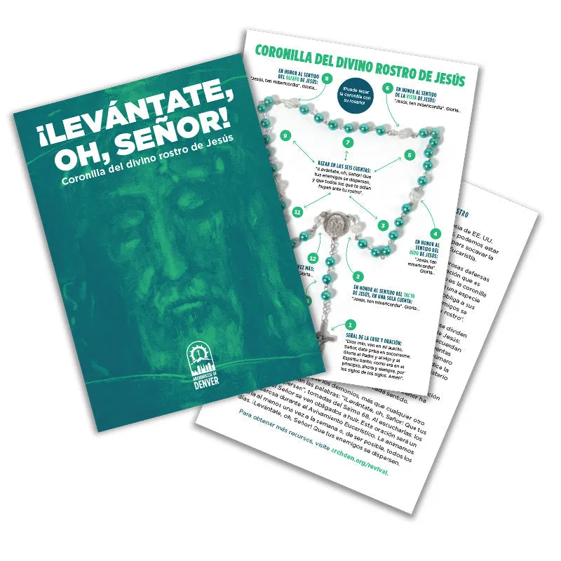 8bSPANISH-VERSION-Arise-O-Lord-Discover-the-Holy-Face-Chaplet-Holy-Card-NEW